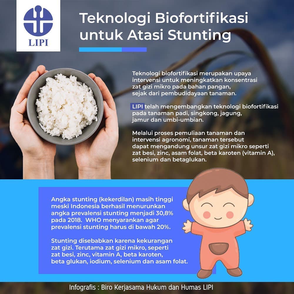 Teknologi Biofortifikasi untuk Atasi Stunting - 20190228